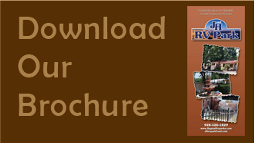 button_brochure.png, 25kB